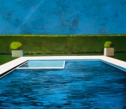 Pool with Two Planters and Jacuzzi